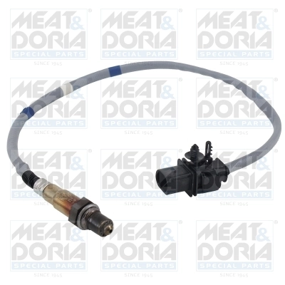 Oxygen Sensor
